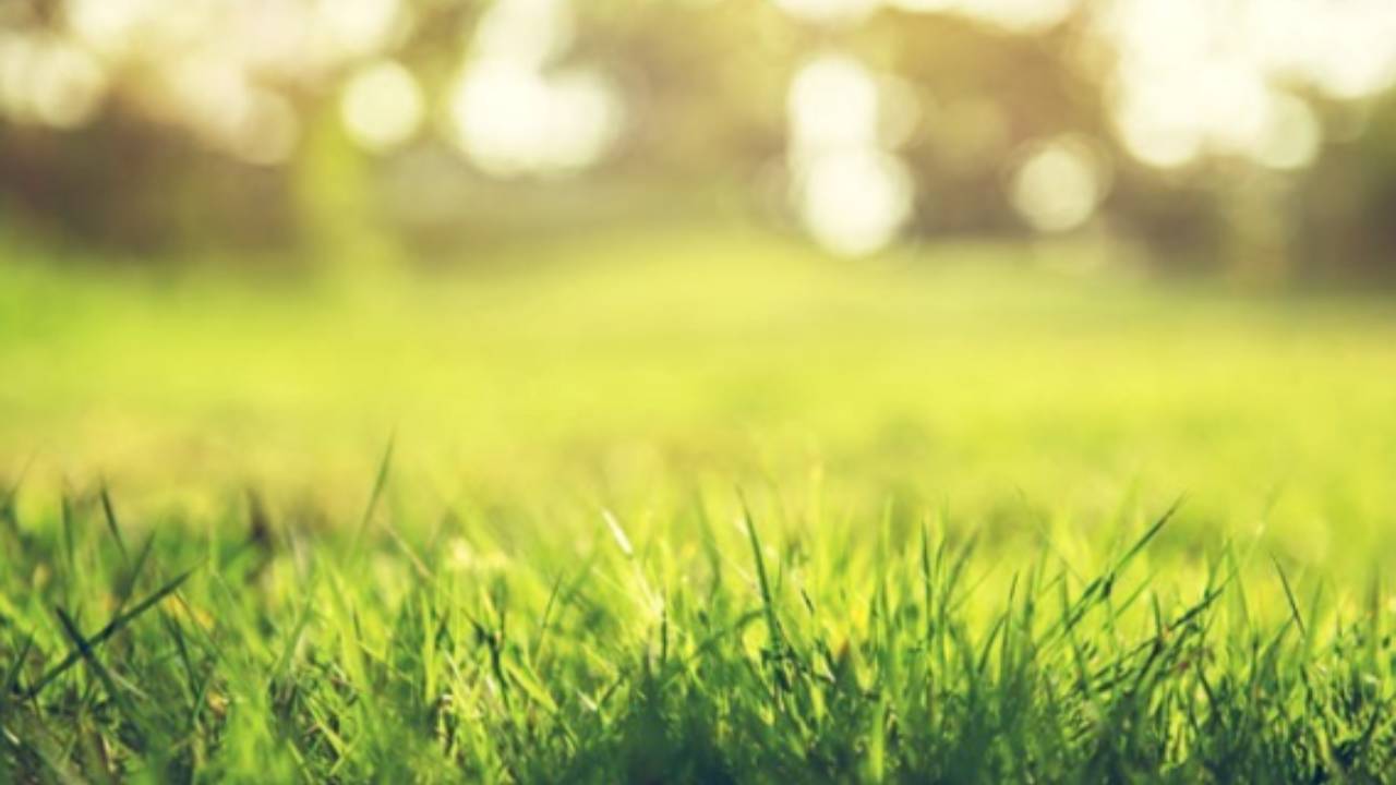 Lay Down Some S.O.D. for a More Successful Interview